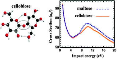 Graphical abstract: Low-energy electron scattering by cellulose and hemicellulose components