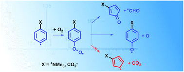 Graphical abstract: Isolation and characterization of charge-tagged phenylperoxyl radicals in the gas phase: direct evidence for products and pathways in low temperature benzene oxidation