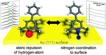 Graphical abstract: Add a third hook: S-acetyl protected oligophenylene pyridine dithiols as advanced precursors for self-assembled monolayers