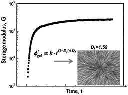 Graphical abstract: From kinetic–structure analysis to engineering crystalline fiber networks in soft materials