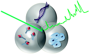 Graphical abstract: Recent developments and future directions in SERS for bioanalysis