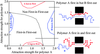 Graphical abstract: Separating different polymers using an interacting nanopore: A Monte Carlo study