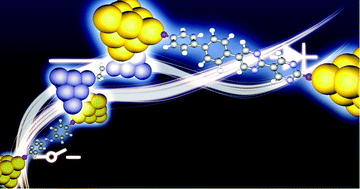 Graphical abstract: Single molecule bridging between metal electrodes