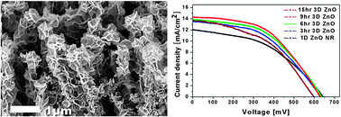 Graphical abstract: A highly efficient light capturing 2D (nanosheet)–1D (nanorod) combined hierarchical ZnO nanostructure for efficient quantum dot sensitized solar cells