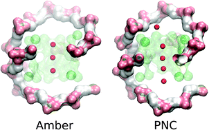 Graphical abstract: The critical effect of polarization on the dynamical structure of guanine quadruplex DNA