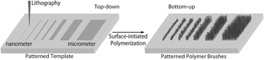 Graphical abstract: Patterned polymer brushes