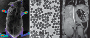 Graphical abstract: Silica-based nanoprobes for biomedical imaging and theranostic applications