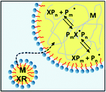 Graphical abstract: Reversible addition-fragmentation chain transfer polymerization in microemulsion