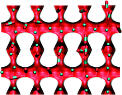 Graphical abstract: Diffusion in porous crystalline materials