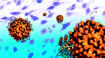 Graphical abstract: Surface functionalization of nanoparticles for nanomedicine