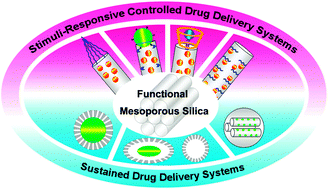 Graphical abstract: Functionalized mesoporous silica materials for controlled drug delivery