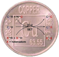 Graphical abstract: Recent advances in copper-catalyzed dehydrogenative functionalization via a single electron transfer (SET) process