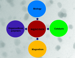 Graphical abstract: Polymer derived non-oxide ceramics modified with late transition metals