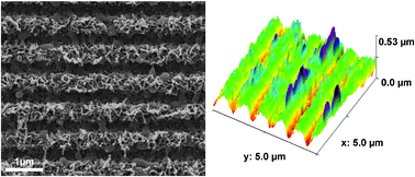 Graphical abstract: Bi-phasic nanostructures for functional applications