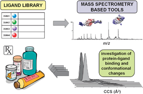 Graphical abstract: Mass spectrometry based tools to investigate protein–ligand interactions for drug discovery