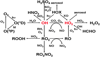 Graphical abstract: Tropospheric OH and HO2 radicals: field measurements and model comparisons