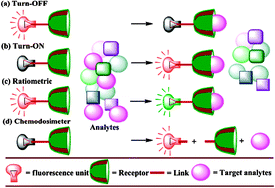 Graphical abstract: Iron(iii) selective molecular and supramolecular fluorescent probes