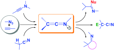 Graphical abstract: The thriving chemistry of ketenimines