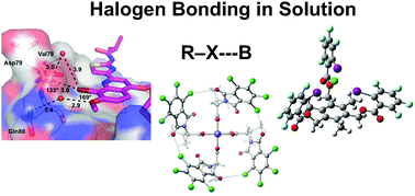 Graphical abstract: Halogen bonding in solution: thermodynamics and applications