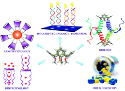 Graphical abstract: Biological applications of functionalized calixarenes