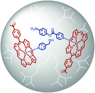 Graphical abstract: Catalytic hyperbranched polymers as enzyme mimics; exploiting the principles of encapsulation and supramolecular chemistry