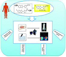 Graphical abstract: Cage the firefly luciferin! – a strategy for developing bioluminescent probes