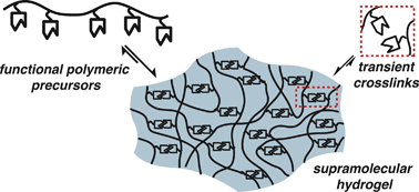 Graphical abstract: Supramolecular polymeric hydrogels