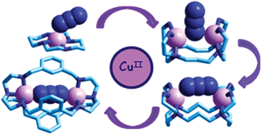 Graphical abstract: Anion recognition by coordinative interactions: metal–amine complexes as receptors