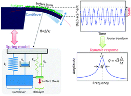 Graphical abstract: Biosensors based on nanomechanical systems