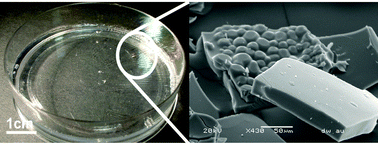 Graphical abstract: Formation of mesostructured thin films at the air–liquid interface