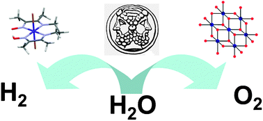 Graphical abstract: Solar fuels generation and molecular systems: is it homogeneous or heterogeneous catalysis?