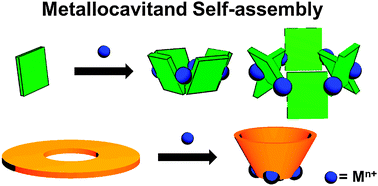 Graphical abstract: Metallocavitands: an emerging class of functional multimetallic host molecules