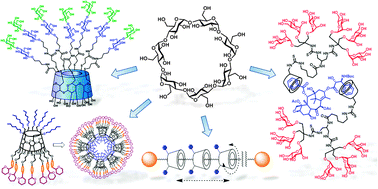 Graphical abstract: Cyclodextrin-based multivalent glycodisplays: covalent and supramolecular conjugates to assess carbohydrate–protein interactions