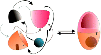 Graphical abstract: Hydrogen bonded supramolecular capsules with functionalized interiors: the controlled orientation of included guests