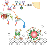 Graphical abstract: A nanocluster design for the construction of artificial cellulosomes