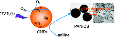 Graphical abstract: Submicrometre-scale polyaniline colloidal spheres: photopolymerization preparation using fluorescent carbon nitride dots as a photocatalyst
