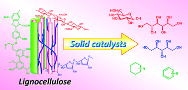 Graphical abstract: Conversion of lignocellulose into renewable chemicals by heterogeneous catalysis