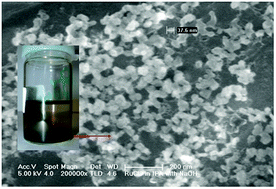 Graphical abstract: The true catalyst in hydrogen transfer reactions with alcohol donors in the presence of RuCl2(PPh3)3 is ruthenium(0) nanoparticles