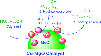 Graphical abstract: Catalytic hydrogenolysis of biodiesel derived glycerol to 1,2-propanediol over Cu–MgO catalysts