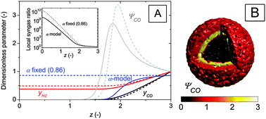 Graphical abstract: Fischer–Tropsch reaction–diffusion in a cobalt catalyst particle: aspects of activity and selectivity for a variable chain growth probability