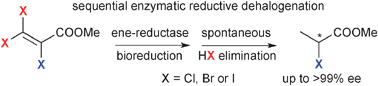 Graphical abstract: Reductive dehalogenation of β-haloacrylic ester derivatives mediated by ene-reductases