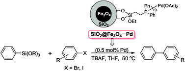 Graphical abstract: A recyclable magnetic nanoparticles supported palladium catalyst for the Hiyama reaction of aryltrialkoxysilanes with aryl halides