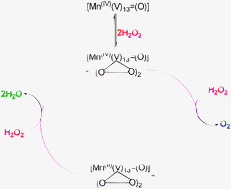 Graphical abstract: Catalase-like activity of the polyoxovanadate anion [MnIVV13O38]7−: a mechanistic study