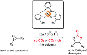 Graphical abstract: A highly active Zn(salphen) catalyst for production of organic carbonates in a green CO2 medium