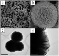 Graphical abstract: Removal of bisphenol A by mesoporous BiOBr under simulated solar light irradiation