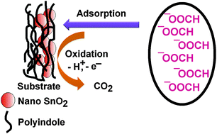 Graphical abstract: Electro-oxidation of formic acid using polyindole-SnO2 nanocomposite