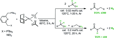 Graphical abstract: Direct coupling of alcohols to form esters and amides with evolution of H2 using in situ formed ruthenium catalysts