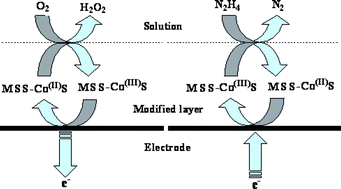 Graphical abstract: Electrocatalytic activity of cobalt Schiff base complex immobilized silica materials towards oxygen reduction and hydrazine oxidation