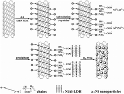 Graphical abstract: A hybrid nanocomposite precursor route to synthesize dispersion-enhanced Ni catalysts for the selective hydrogenation of o-chloronitrobenzene