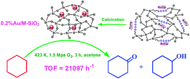 Graphical abstract: One-pot synthesis of gold nanoparticles embedded in silica for cyclohexane oxidation